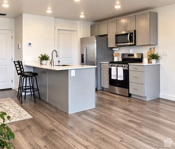 Modern kitchen featuring stainless steel appliances, light gray cabinetry, a central island with a sink, quartz countertops, and wood-finish flooring