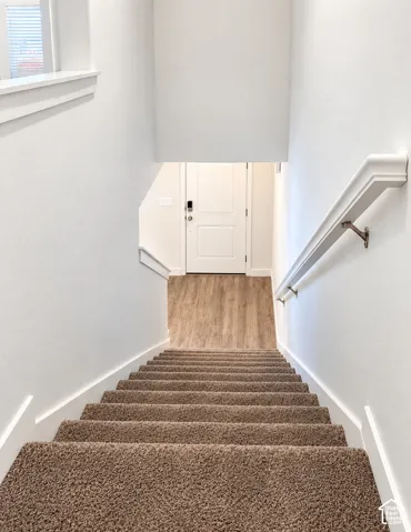 Carpeted staircase with a white handrail, leading to a wood-finish floor and a white paneled door