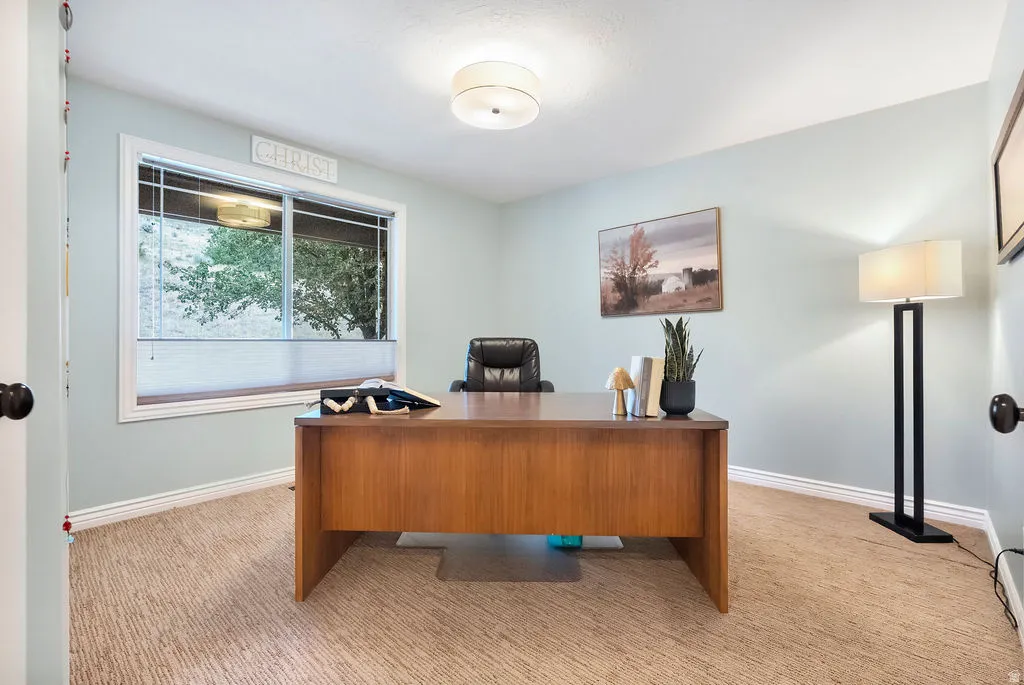 Recessed window with white trim, light-colored walls, and textured carpet flooring