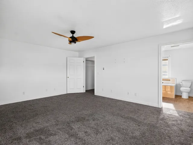 Spacious room featuring neutral carpeting, a ceiling fan, and access to an adjoining space with wood-finish flooring and a window