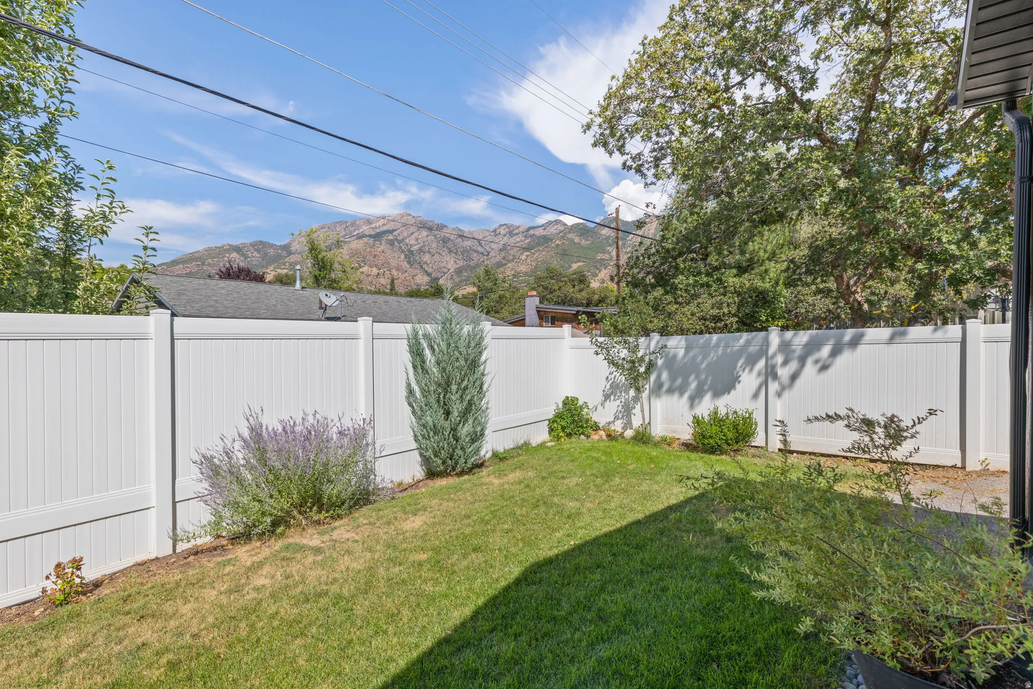 Fully fenced yard