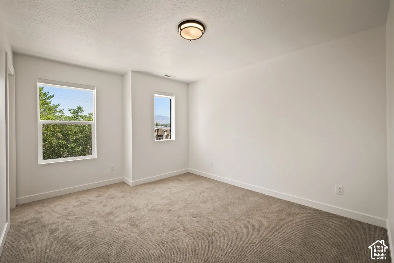 Spacious room featuring neutral carpet flooring, white walls, two windows, and a flush-mount ceiling light fixture