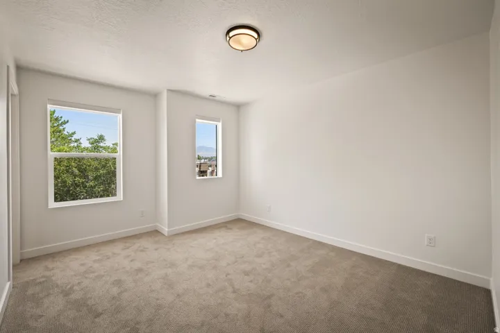 Spacious room featuring neutral carpet flooring, white walls, two windows, and a flush-mount ceiling light fixture