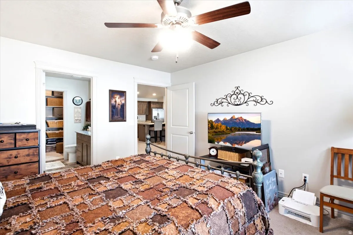 Ceiling fan with light fixture, carpeted flooring, and white interior doors