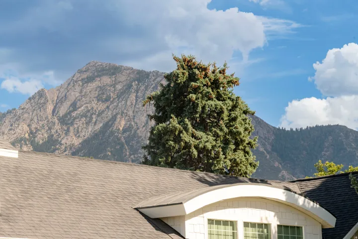 3588 S 2500 E, Millcreek, Utah 84109