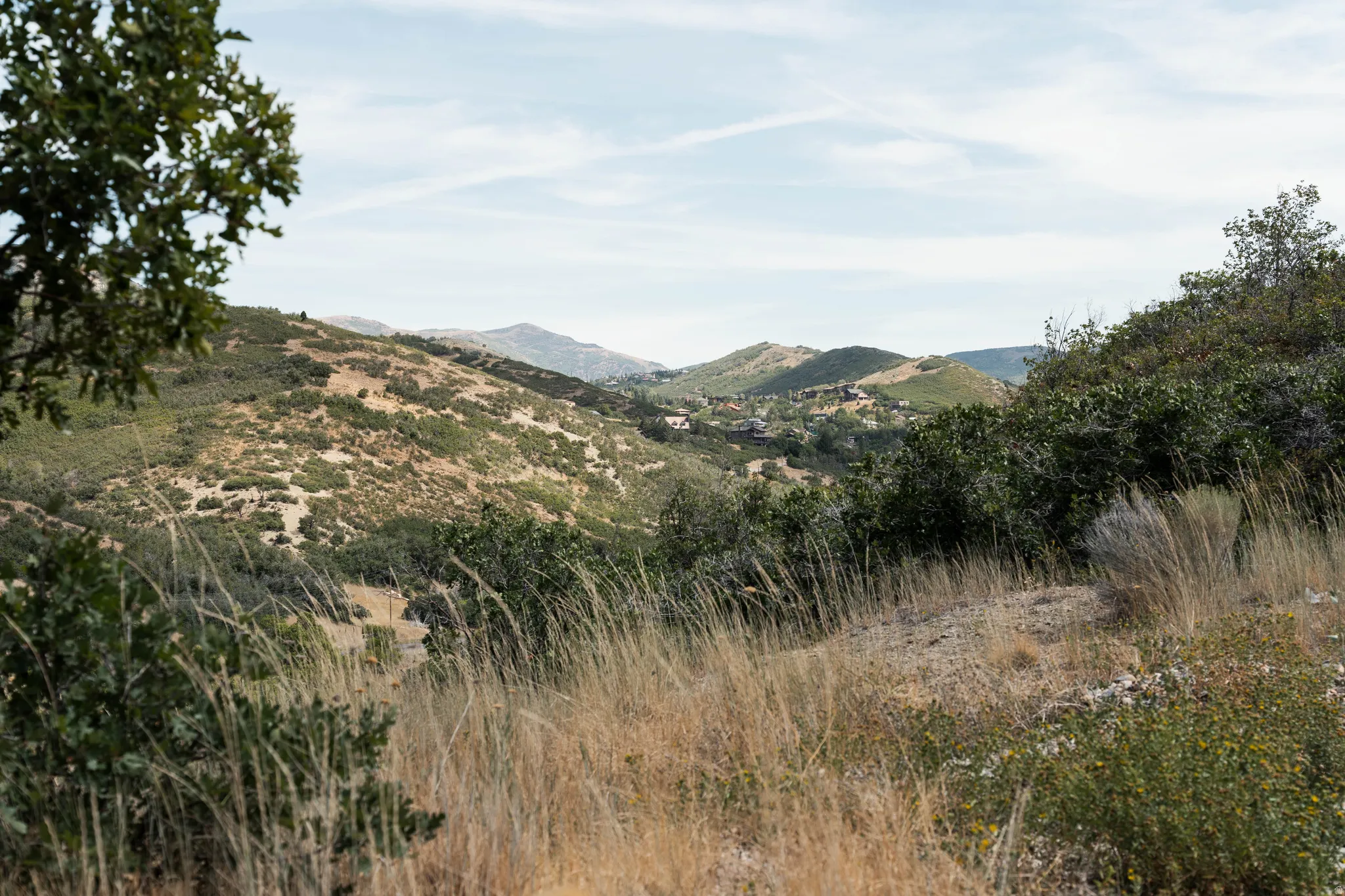 Rolling hills with natural vegetation and distant structures