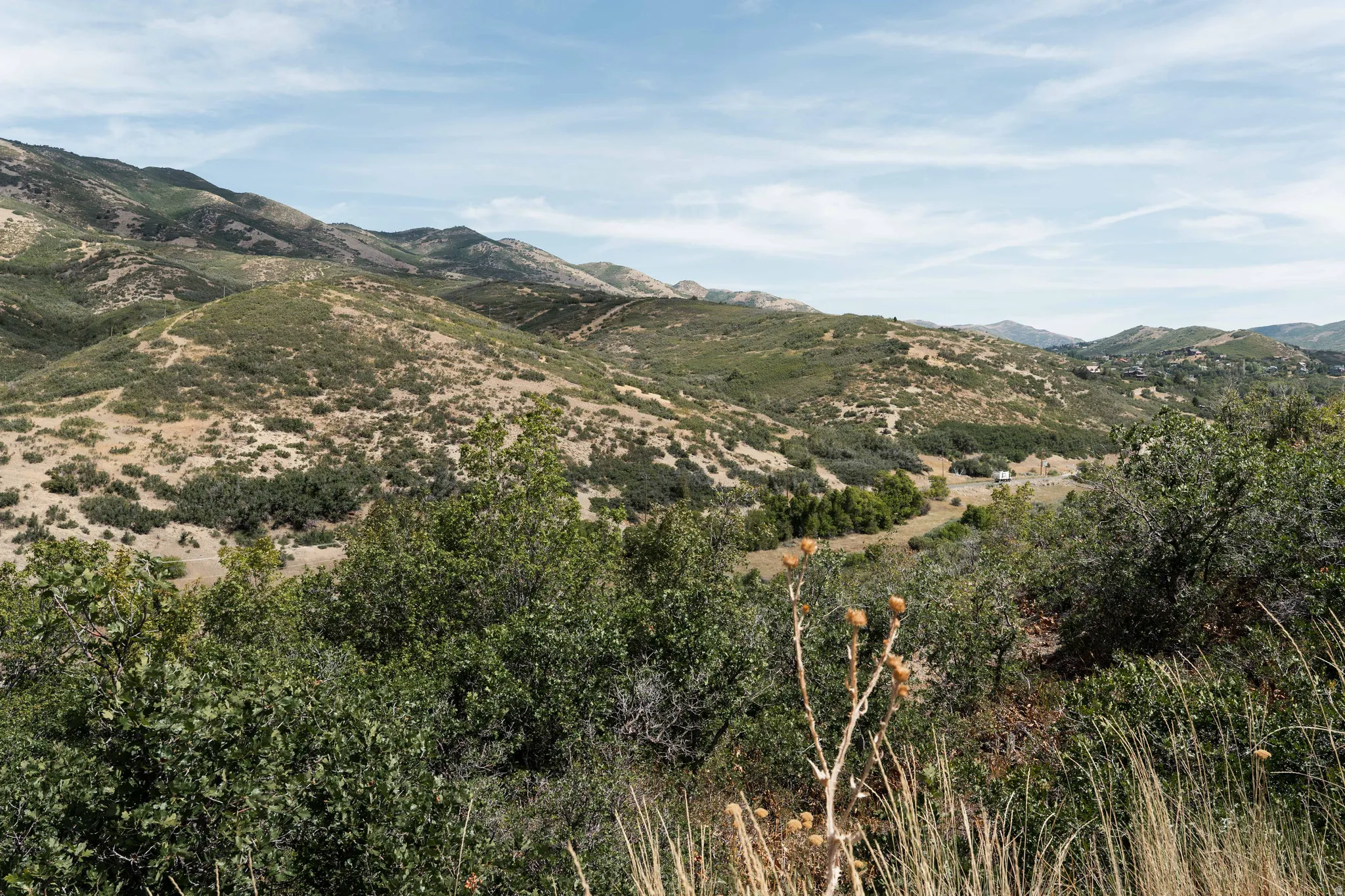 Expansive natural landscape featuring rolling hills, varied green foliage, and a distant structure