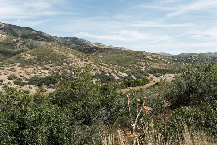 Expansive natural landscape featuring rolling hills, varied green foliage, and a distant structure