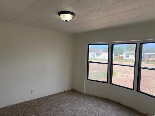 Windowed wall with three vertical windows, light gray carpet, and a flush-mount ceiling light