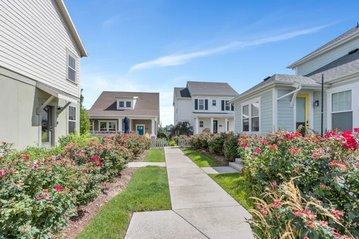 Concrete pathway flanked by manicured rose bushes and green landscaping