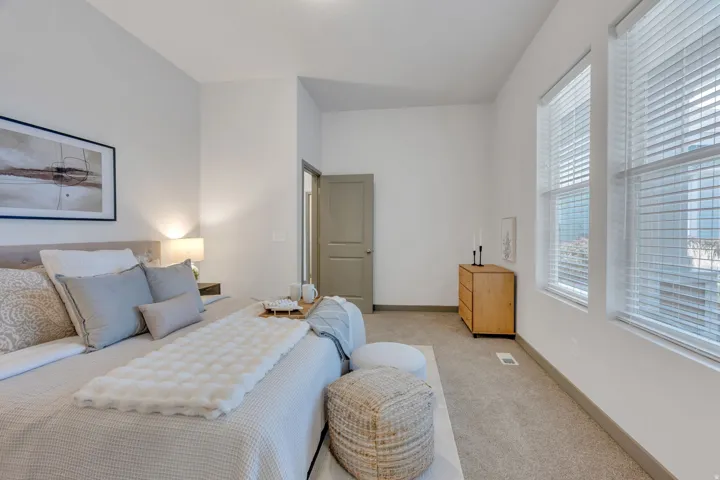 Carpeted flooring, white walls, two double-hung windows with blinds, and a paneled door