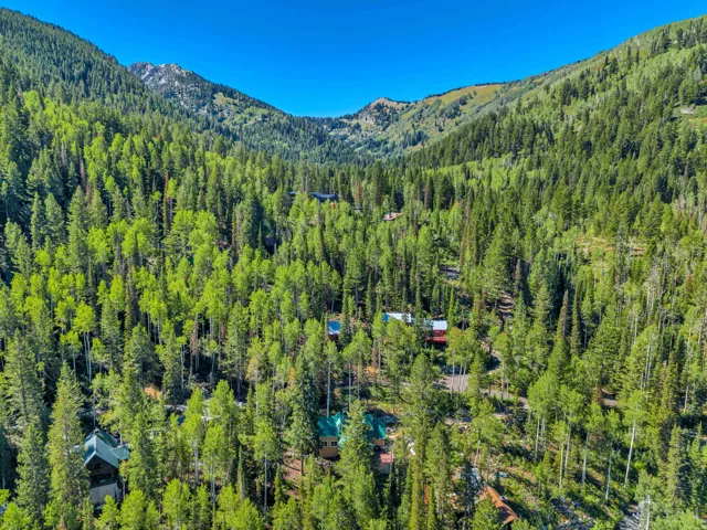 11320 E Balsam Forest Ln, Brighton, Utah 84121