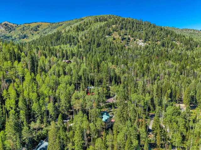 11320 E Balsam Forest Ln, Brighton, Utah 84121