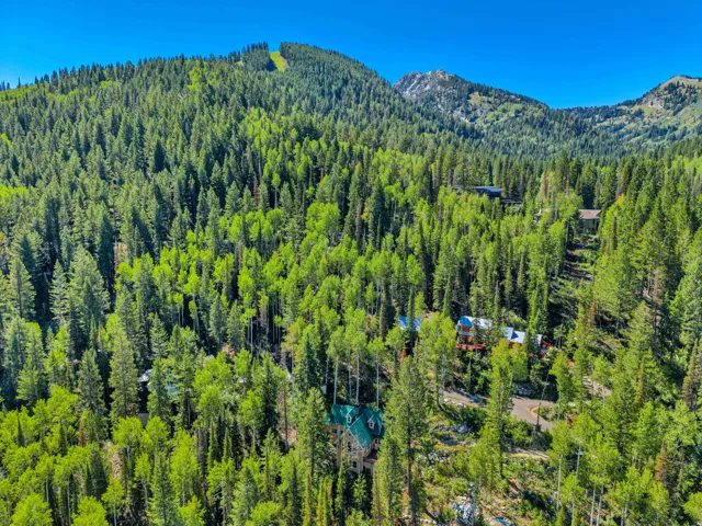 11320 E Balsam Forest Ln, Brighton, Utah 84121