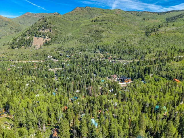 11320 E Balsam Forest Ln, Brighton, Utah 84121