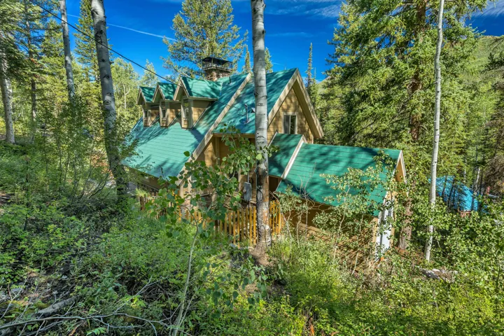 11320 E Balsam Forest Ln, Brighton, Utah 84121