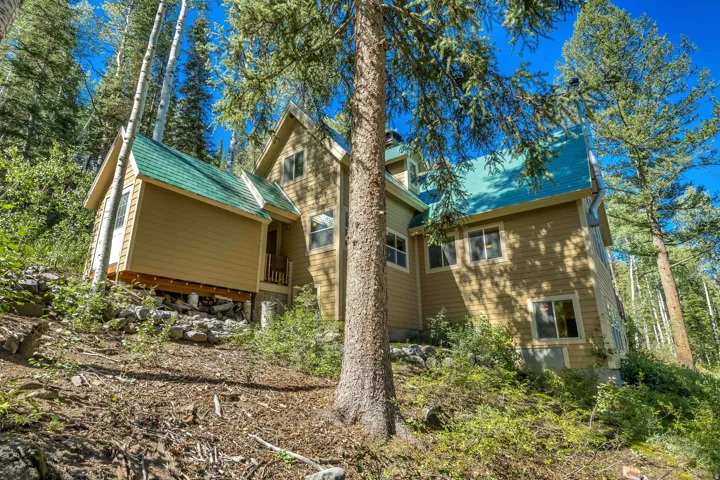 11320 E Balsam Forest Ln, Brighton, Utah 84121