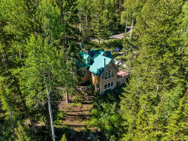 11320 E Balsam Forest Ln, Brighton, Utah 84121