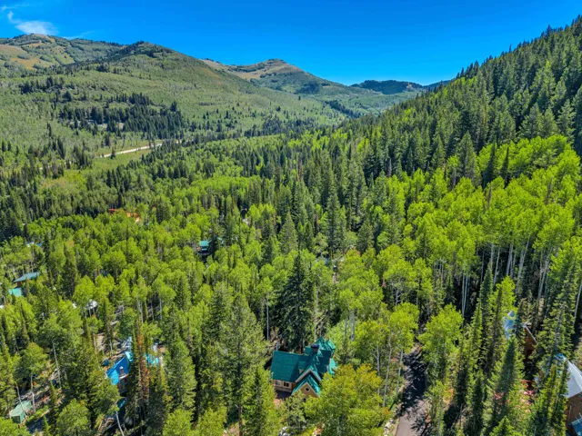 11320 E Balsam Forest Ln, Brighton, Utah 84121