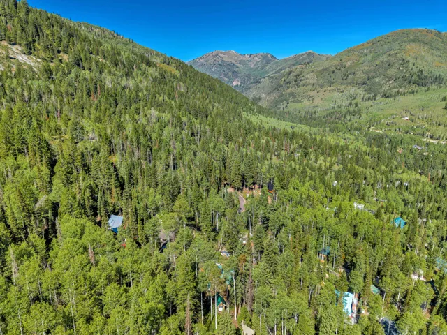 11320 E Balsam Forest Ln, Brighton, Utah 84121