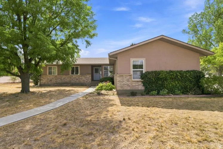 Exterior featuring stucco siding, brick detailing, mature trees, and a concrete pathway