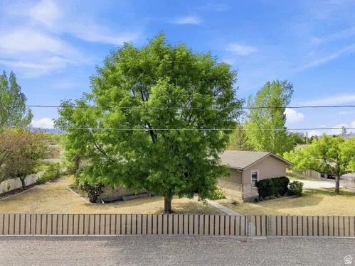 Expansive lot featuring a mature tree, a privacy fence, and a single-story residence with a pitched roof