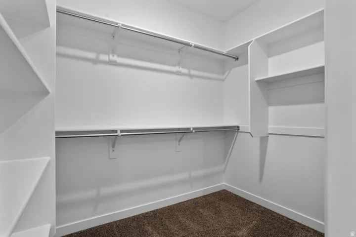 Walk-in closet featuring white built-in shelving, white walls, and brown carpet flooring