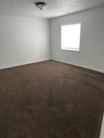 Neutral wall paint, brown carpet flooring, ceiling-mounted light fixture, and window with blinds