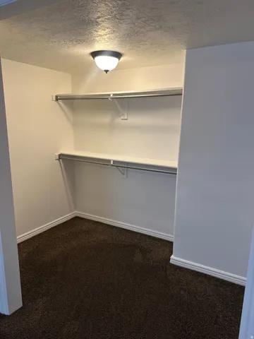 Built-in shelving, hanging rods, ceiling-mounted light fixture, and carpet flooring