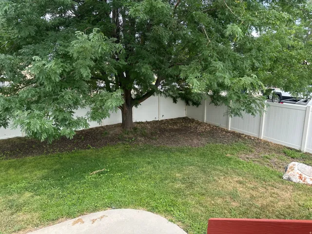 Expansive backyard featuring a mature tree, privacy fencing, and a concrete patio
