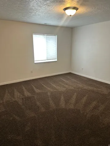 Neutral wall paint, ceiling-mounted light fixture, patterned carpet, and window with blinds