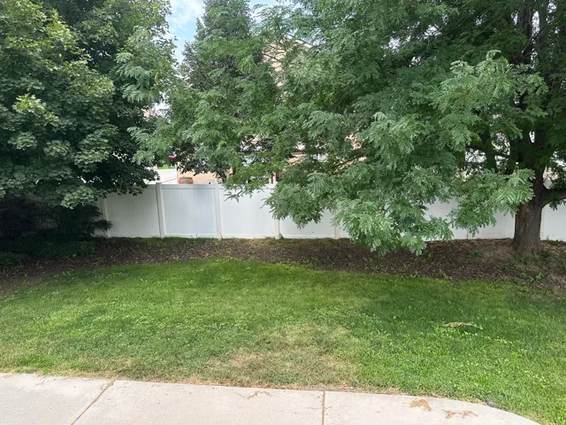 Mature trees providing natural shade