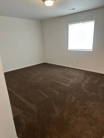 Neutral wall paint, brown carpet, ceiling-mounted light fixture, and a window with blinds