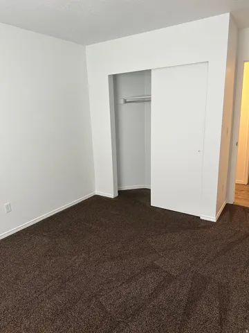 Wall-to-wall brown carpeting with white trim, a built-in closet with sliding white doors, and a clothing rod
