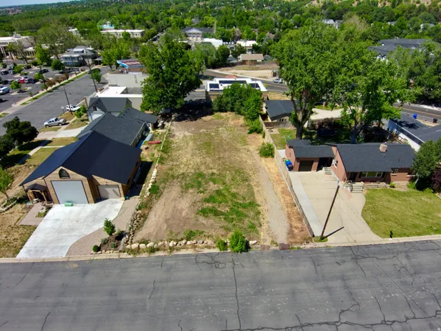 Expansive lot with established street frontage and surrounding residential properties
