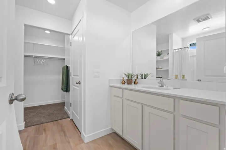 White vanity with integrated sink, wood-finish flooring, and a walk-in closet with carpet