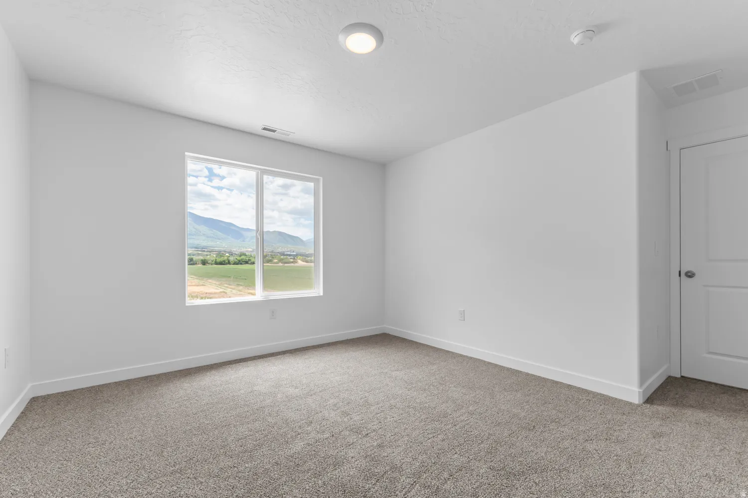 Neutral tone wall paint, flush mount ceiling lighting, and gray carpet flooring