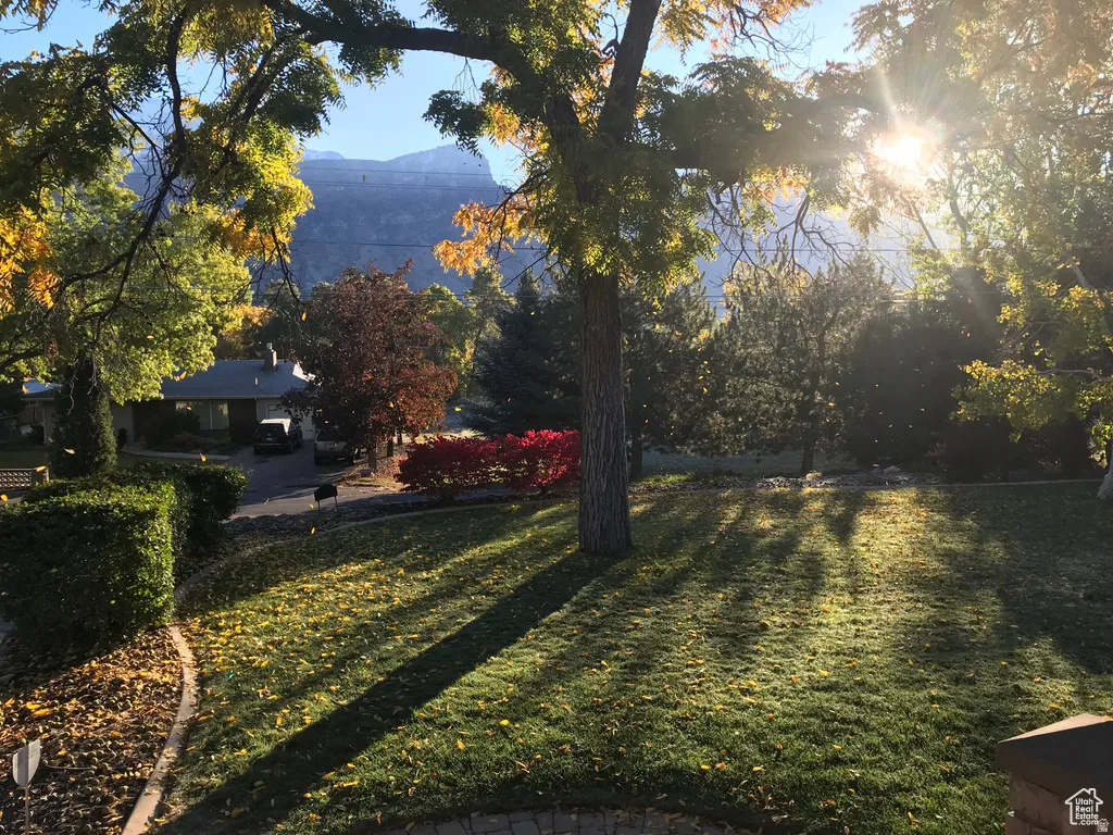 Manicured lawn with mature trees, established shrubbery, and a mountain backdrop