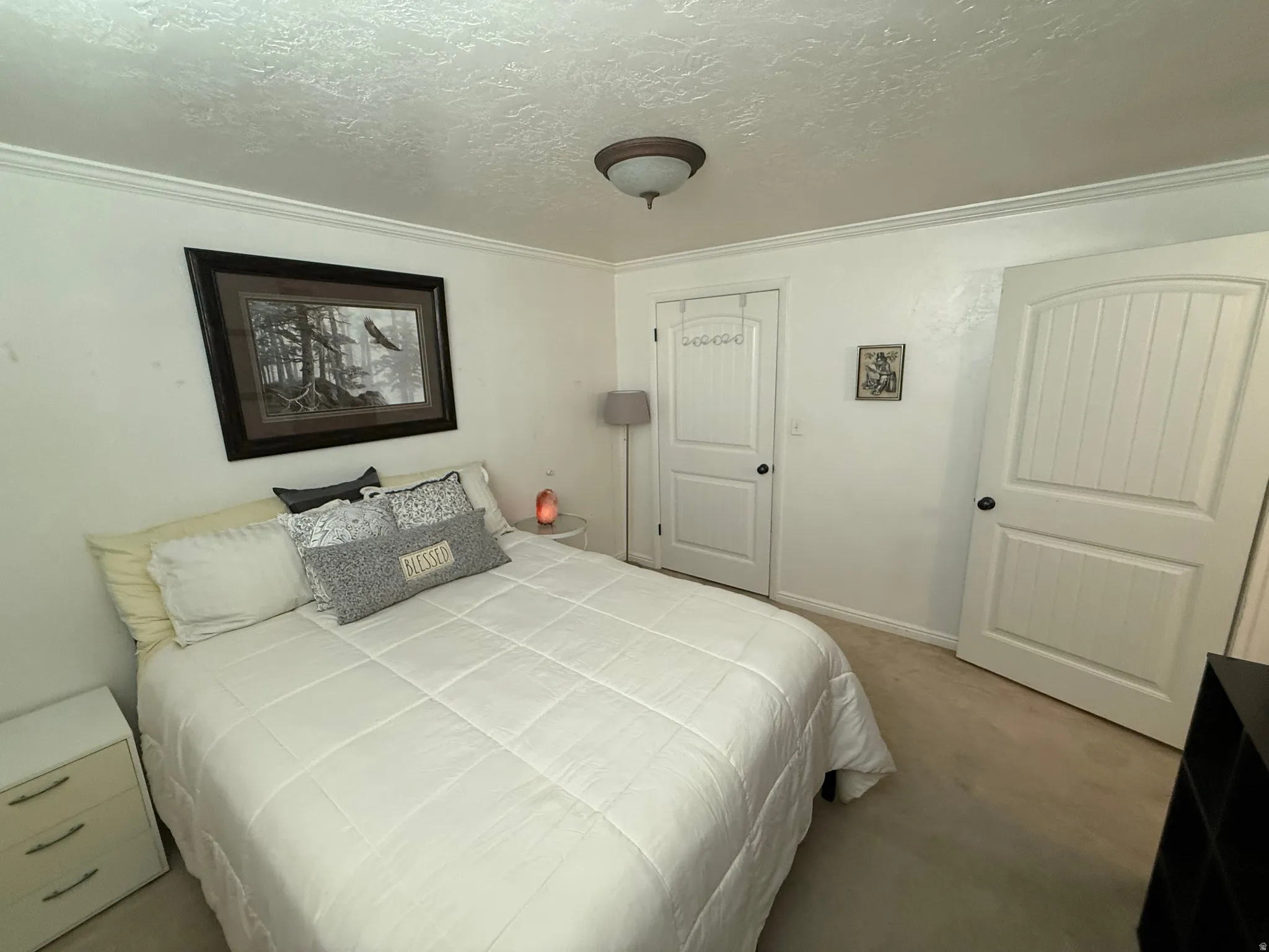 Crown molding accents the ceiling, complemented by a semi-flush mount light fixture