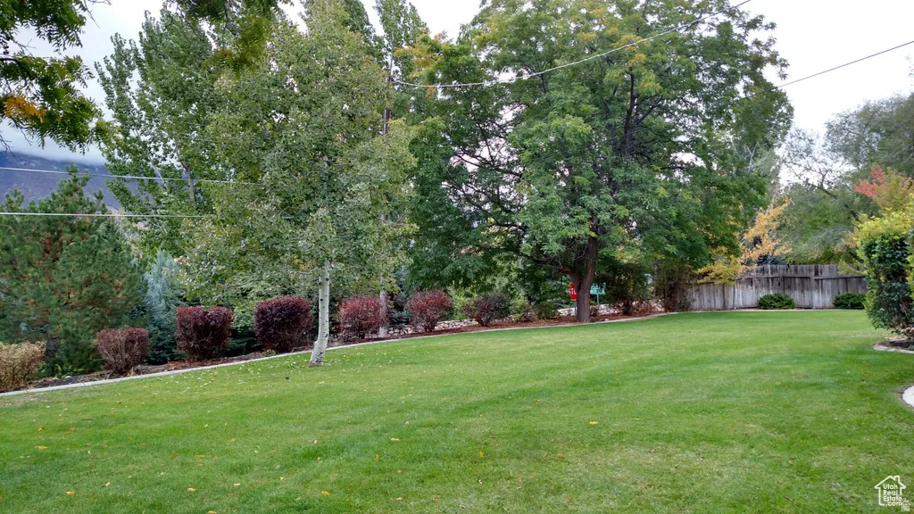 Expansive lawn area with mature trees and varied shrubbery