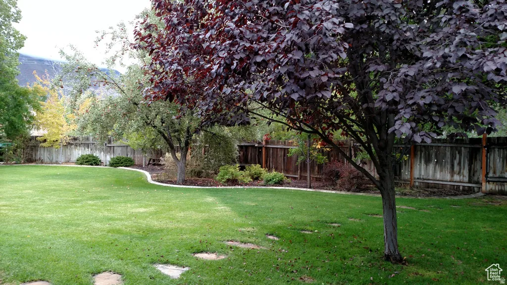 Expansive lawn area with mature trees, defined garden beds, and stepping stone pathways