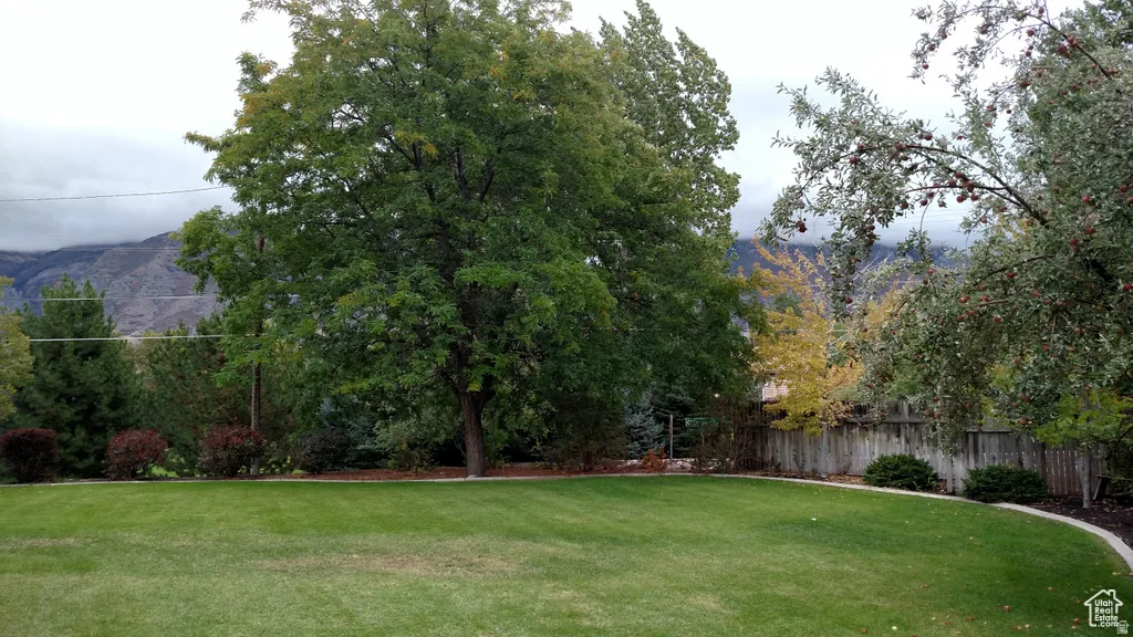 Expansive lawn with established perimeter landscaping and mature trees