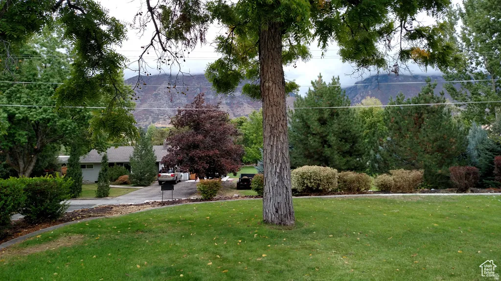 Expansive green lawn with mature trees and diverse landscaping