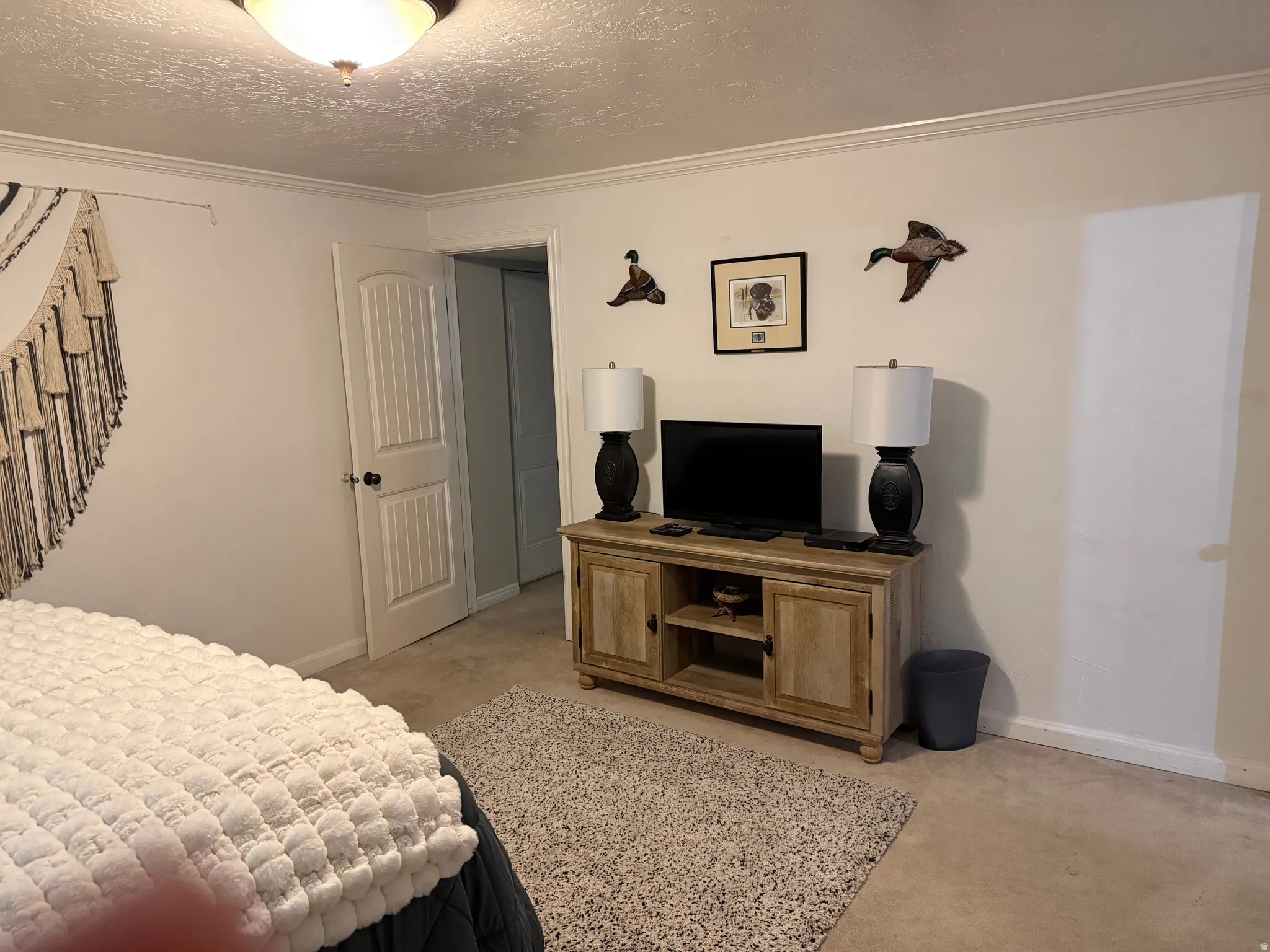 Wall-to-wall carpeting, crown molding, and a solid-core interior door with paneling