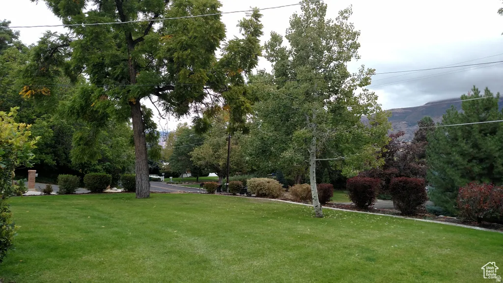 Expansive green lawn with mature trees and diverse landscaping
