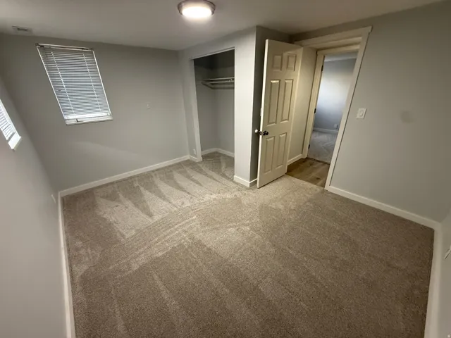 Neutral wall color, carpeted flooring, built-in closet, and overhead lighting