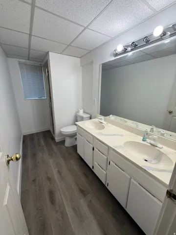 Vanity with dual integrated sinks, wood-finish flooring, full-width mirror, and a shower enclosure