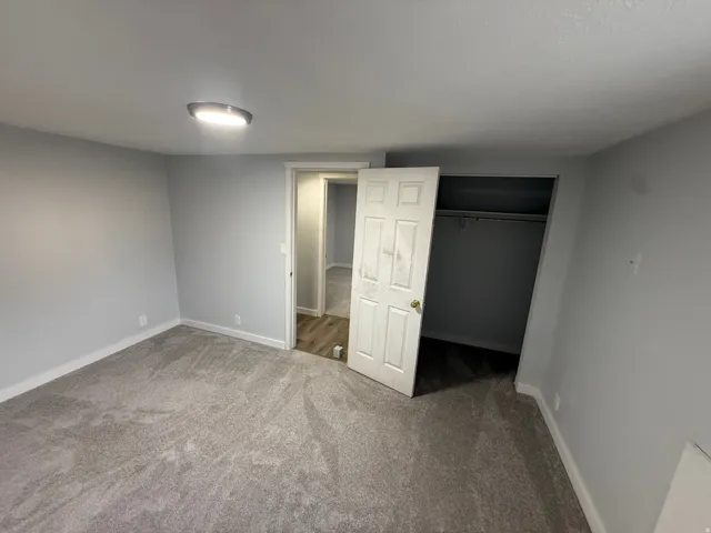 Plush gray carpeting, light gray wall finish, and a ceiling-mounted light fixture