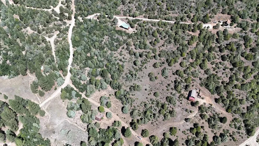 Expansive undeveloped acreage featuring diverse tree coverage, multiple established dirt paths, and distant structures