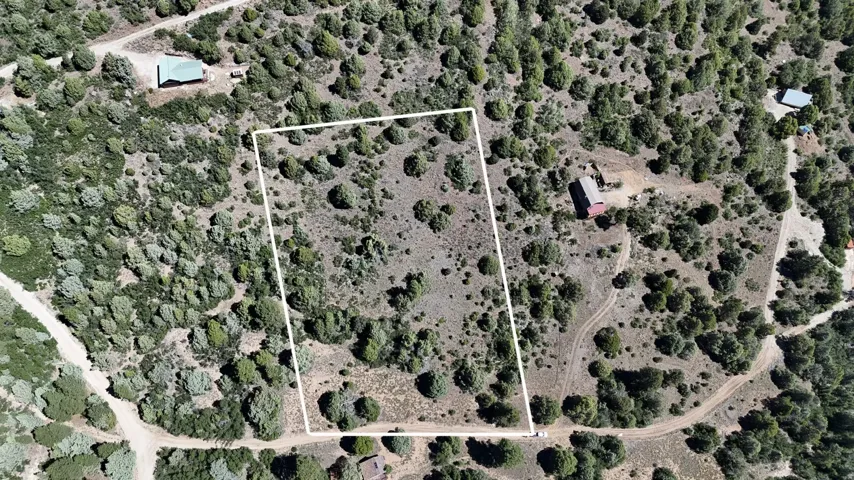 Expansive property featuring natural vegetation, visible boundaries, and surrounding structures